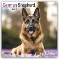 German Shepherd - Deutsche Schäferhunde 2025 - 16-Monatskalender - Avonside Publishing Ltd