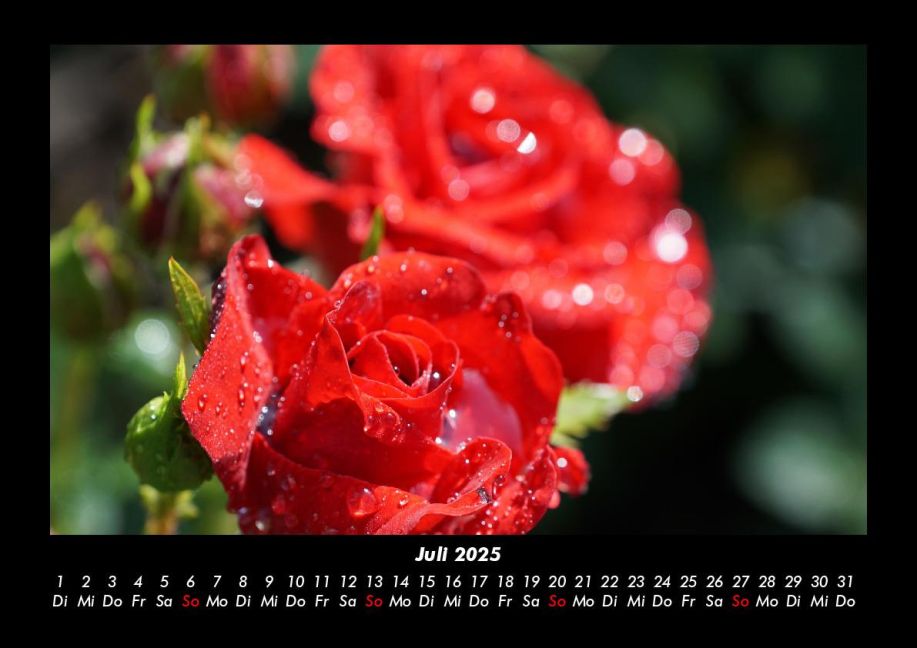 InsideView 11