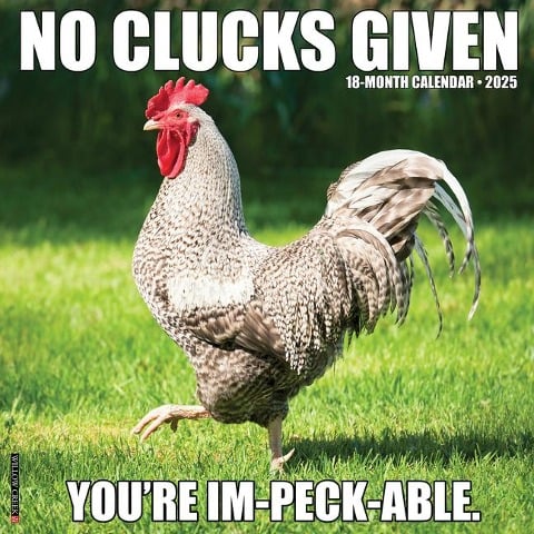 No Clucks Given 2025 12 X 12 Wall Calendar - Willow Creek Press