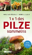 Cover-Bild zum Titel '1 x 1 des Pilzesammelns' von 'Walter Pätzold, Hans E. Laux'