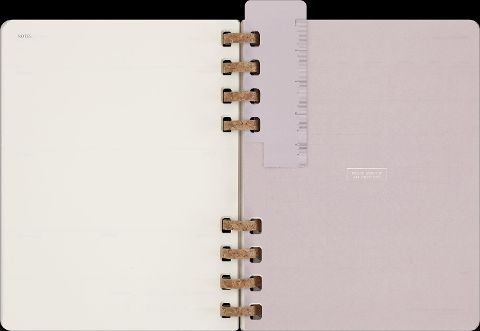 InsideView 6