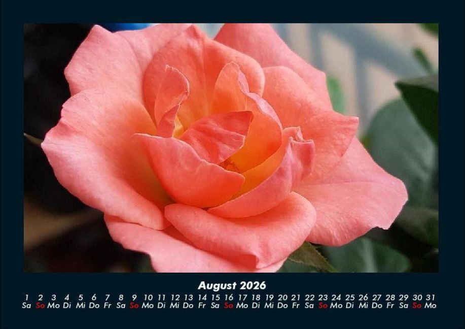 InsideView 12