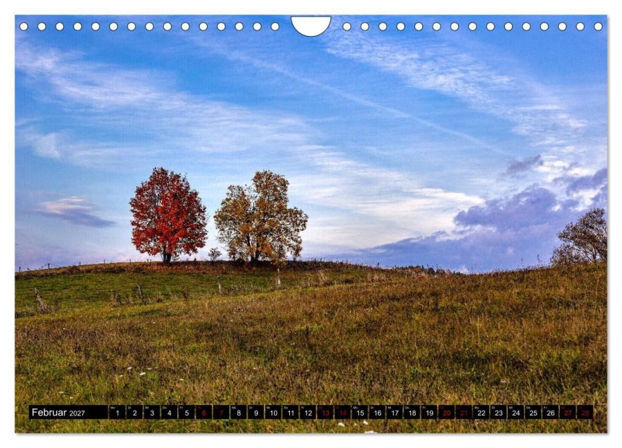 InsideView 7