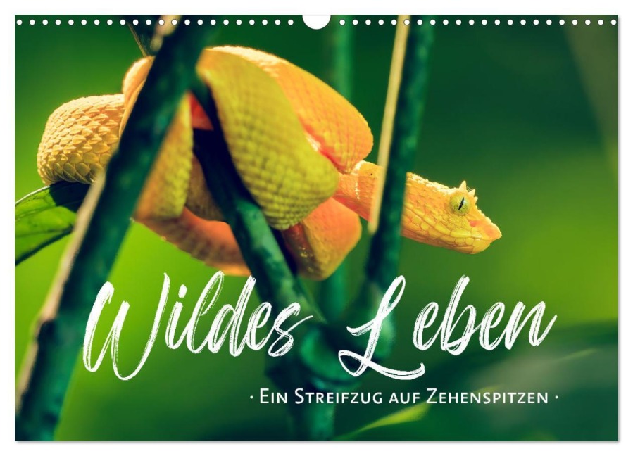 Wildes Leben - Ein Streifzug auf Zehenspitzen (Wandkalender 2026 DIN A3 quer), CALVENDO Monatskalender - Sonja Schlichter