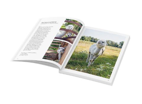 InsideView 5