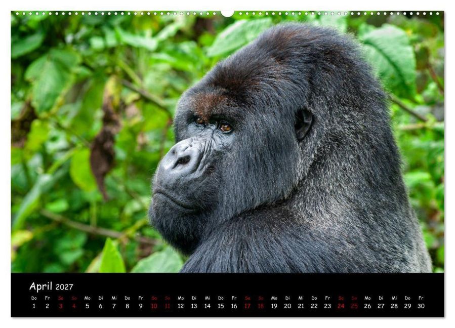 InsideView 8