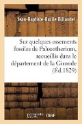 Note Sur Quelques Ossements Fossiles de Paloeotherium, Recueillis Dans Le Département de la Gironde - Jean-Baptiste-Bazile Billaudel