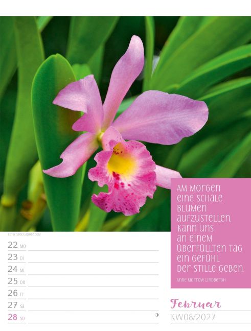 InsideView 12