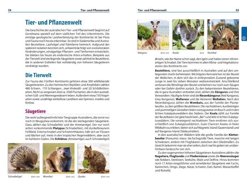 InsideView 11