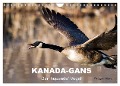 KANADA-GANS - Der 'hupende' Vogel (Wandkalender 2025 DIN A4 quer), CALVENDO Monatskalender - Philippe Henry