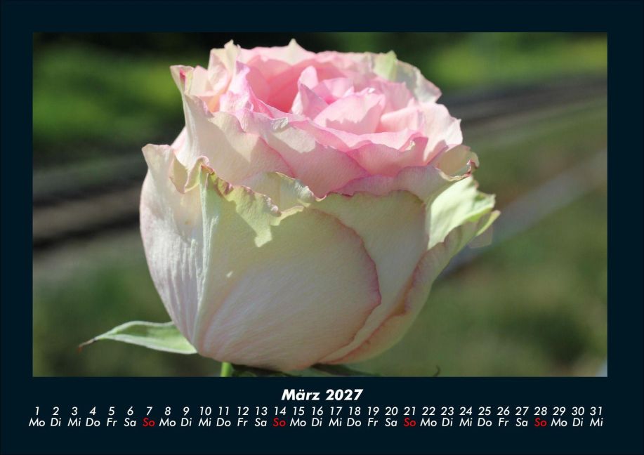 InsideView 7