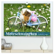Cover-Bild zum Titel 'Meerschweinchen. Geliebte Nager (hochwertiger Premium Wandkalender 2026 DIN A2 quer), Kunstdruck in Hochglanz' von 'Elisabeth Stanzer'