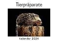 Cover-Bild zum Titel 'Tierpräparate (Wandkalender 2024, Kalender DIN A4 quer, Monatskalender im Querformat mit Kalendarium, Das perfekte Geschenk)' von 'Anna Müller'