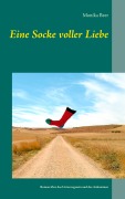 Cover-Bild zum Titel 'Eine Socke voller Liebe' von 'Monika Beer'