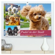 Pudel in der Stadt. Urbane Momente voller Charme und Lebensfreude (hochwertiger Premium Wandkalender 2026 DIN A2 quer), Kunstdruck in Hochglanz - Rose Hurley