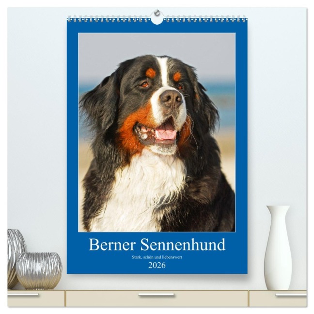 Berner Sennenhund - stark , schön und liebenswert (hochwertiger Premium Wandkalender 2026 DIN A2 hoch), Kunstdruck in Hochglanz - Sigrid Starick