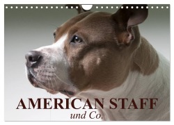 American Staff und Co. (Wandkalender 2026 DIN A4 quer), CALVENDO Monatskalender - Elisabeth Stanzer