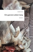 Cover-Bild zum Titel 'Ein ganzes Leben lang. by story.one' von 'Jonathan Cyba'