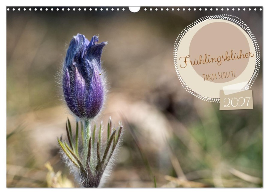 Frühlingsblüher - Farbenpracht nach dem Winter (Wandkalender 2027 DIN A3 quer), CALVENDO Monatskalender - Tanja Schultz Fotografie
