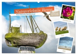 Naturerlebnis Rømø (Wandkalender 2026 DIN A2 quer), CALVENDO Monatskalender - Dieter Gödecke