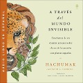 Viaje a Través de Lo Invisible - Hachumak
