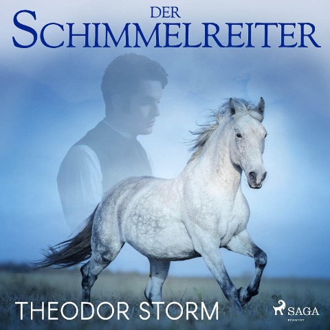 Der Schimmelreiter - Theodor Storm