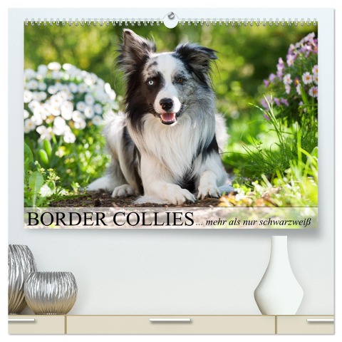 Border Collies - nicht nur schwarzweiß (hochwertiger Premium Wandkalender 2025 DIN A2 quer), Kunstdruck in Hochglanz - Judith Kiener - DoraZett
