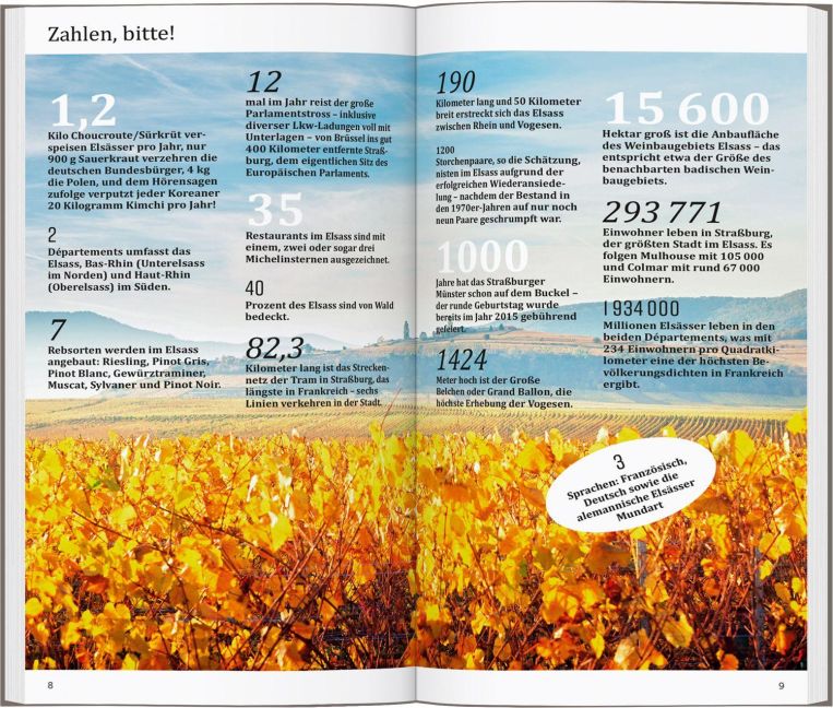 InsideView 5