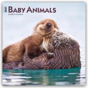 Cover-Bild zum Titel 'Baby Animals - Tierbabys - Tierkinder 2027 - 16-Monatskalender' von 'Browntrout Publishers'