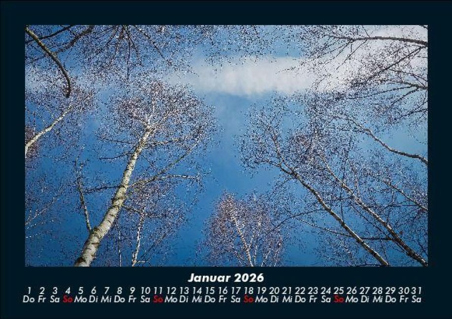 InsideView 5