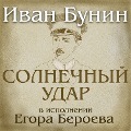 Cover-Bild zum Titel 'Solnechnyj udar' von 'Ivan Bunin, Vladimir Bruss'