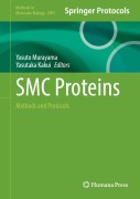 Cover-Bild zum Titel 'SMC Proteins' von ''