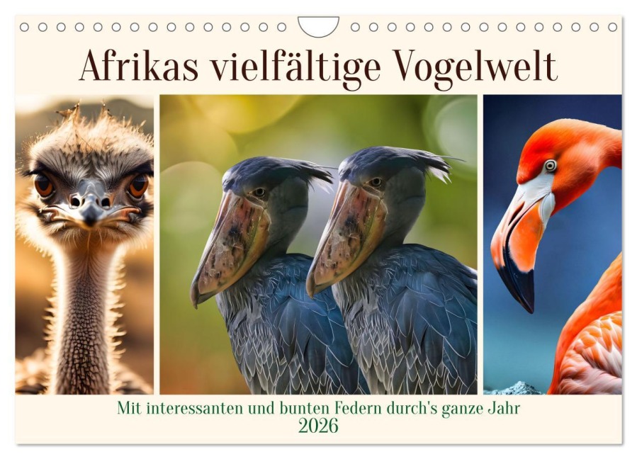 Afrikas vielfältige Vogelwelt (Wandkalender 2026 DIN A4 quer), CALVENDO Monatskalender - Claudia Kleemann