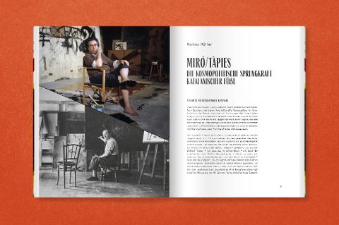 InsideView 5