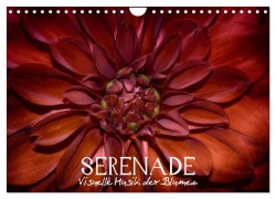 Cover-Bild zum Titel 'Serenade - Visuelle Musik der Blumen (Wandkalender 2026 DIN A4 quer), CALVENDO Monatskalender' von 'Vronja Photon'