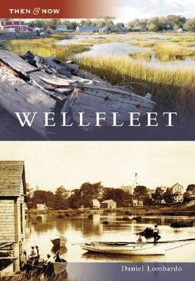 Wellfleet - Daniel Lombardo