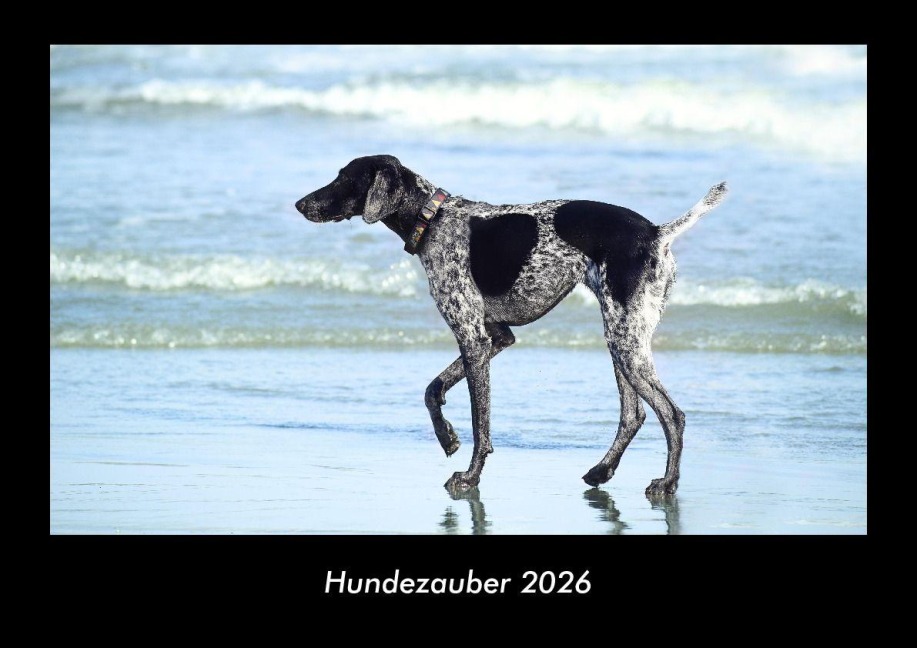 Hundezauber 2026 Fotokalender DIN A3 - Tobias Becker