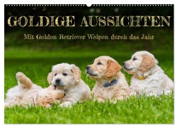 Cover-Bild zum Titel 'Goldige Aussichten - Mit Golden Retriever Welpen durch das Jahr (Wandkalender 2026 DIN A2 quer), CALVENDO Monatskalender' von 'Sigrid Starick'