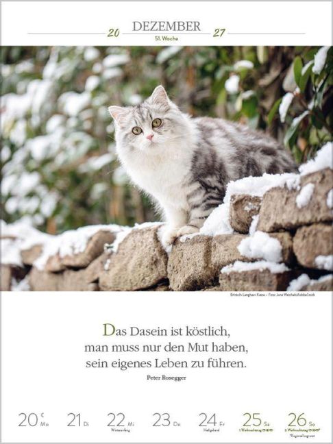 InsideView 14