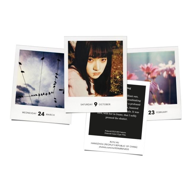 InsideView 12