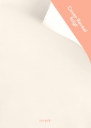 Cover-Bild zum Titel 'Born of Salt and Storm' von 'Sophia Reynard'