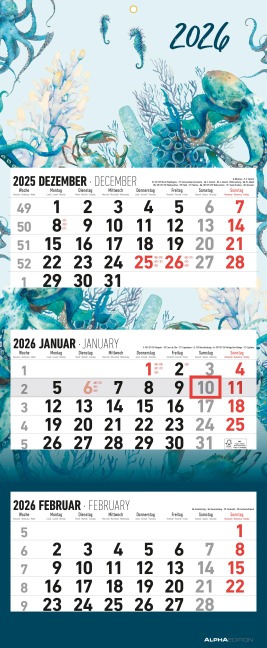 3-Monatskalender Design 2026 - Büro-Kalender 33x20 cm (geschlossen), 33x80 cm (geöffnet) - faltbar - mit Datumsschieber - Alpha Edition - 