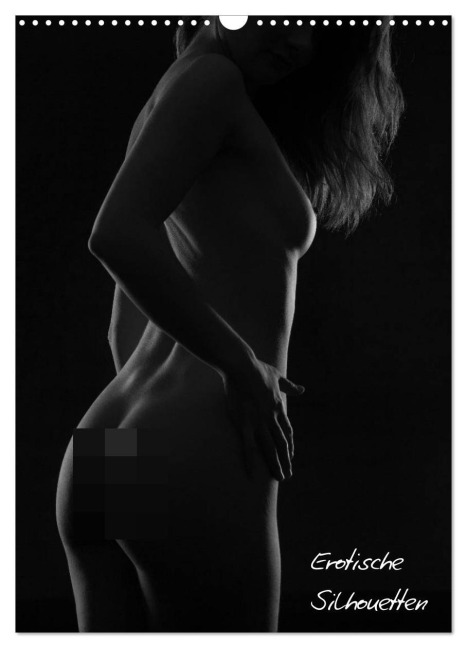 Erotische Silhouetten / CH-Version (Wandkalender 2026 DIN A3 hoch), CALVENDO Monatskalender - Ralf Kaiser