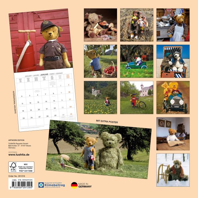 InsideView 13