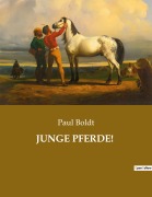 Cover-Bild zum Titel 'JUNGE PFERDE!' von 'Paul Boldt'