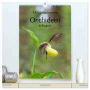 Cover-Bild zum Titel 'Wildwachsende Orchideen in Bayern (hochwertiger Premium Wandkalender 2026 DIN A2 hoch), Kunstdruck in Hochglanz' von 'Christian Birzer'