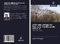 Cover-Bild zum Titel 'Inheemse Afrikaanse Kennis en Antikoloniale Praktijk:' von 'Jennifer M Jagire'