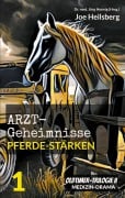 Cover-Bild zum Titel 'Arztgeheimnisse (Oldtimer-Trilogie II)' von 'Joe Heilsberg'