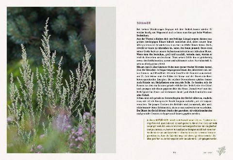 InsideView 4