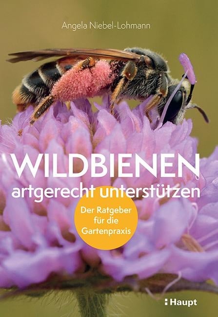 Wildbienen artgerecht unterstützen - Angela Niebel-Lohmann